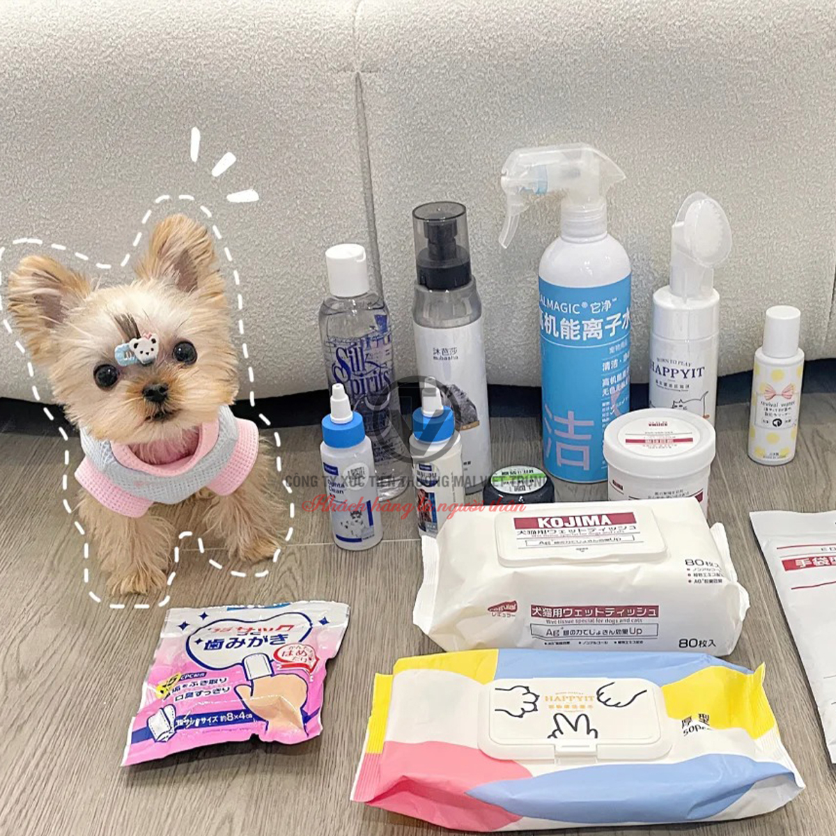 Sản phẩm chăm sóc thú cưng đa dạng