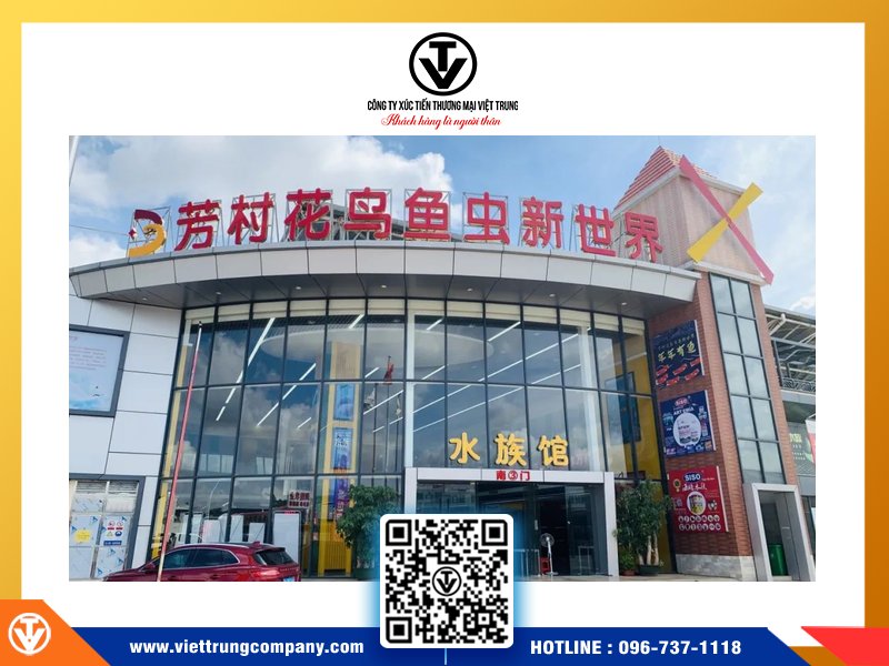 Chợ sinh vật cảnh "Hua Di Wan"