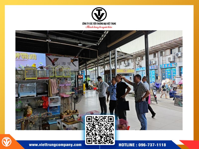 Chợ sinh vật cảnh "Hua Di Wan"