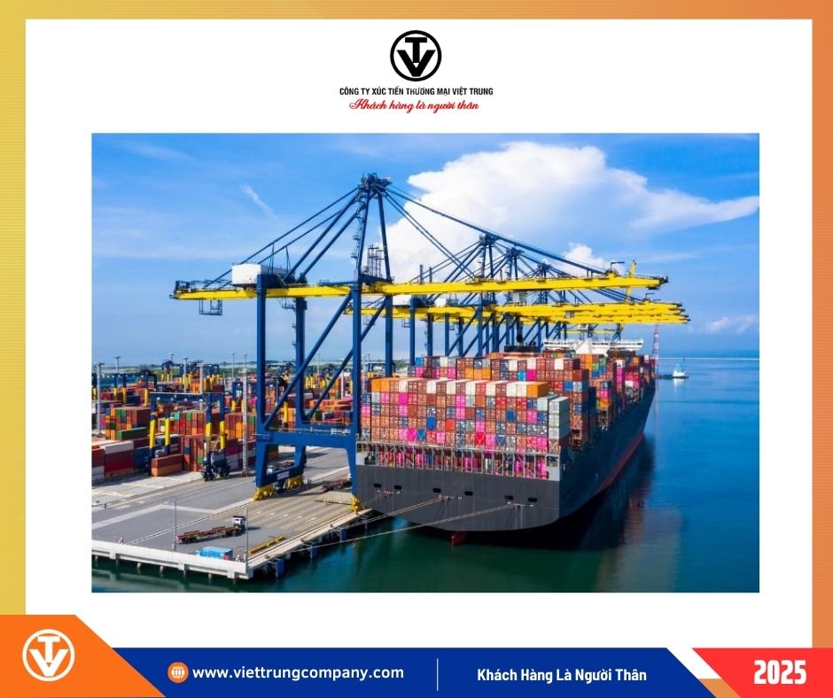 Phí cầu cảng (Terminal Handling Fee - THC)