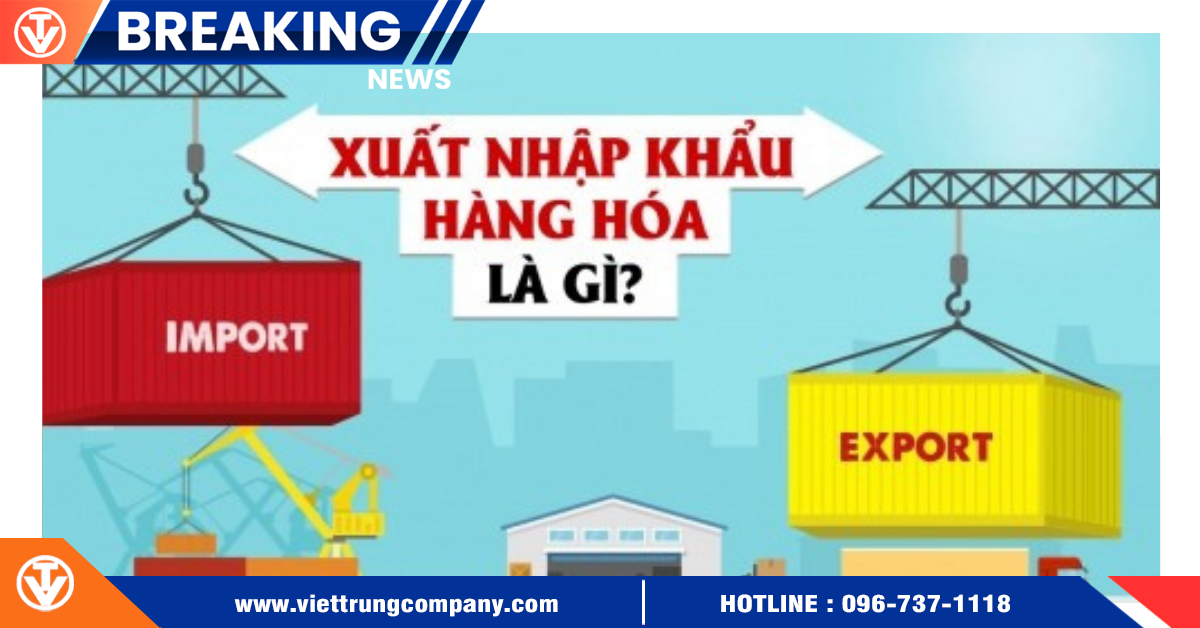 Xuất Nhập Khẩu Hàng Hóa Là Gì? Những Điều Cần Biết Về XNK