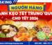 Nguồn hàng bánh kẹo Tết Trung Quốc cho Tết 2026