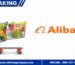 Phí vận chuyển từ Alibaba về Việt Nam