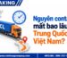 Nguyên container mất bao lâu từ Trung Quốc về Việt Nam?