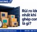 Rủi ro lớn khi đi ghép container và cách hạn chế